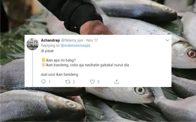 12+ Sejarah Asal Usul Nama Ikan Versi Warganet Twitter. Orang Awam mah Pasti Nggak Pernah Kepikiran!