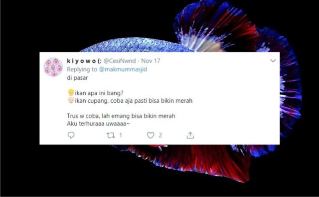 12+ Sejarah Asal Usul Nama Ikan Versi Warganet Twitter. Orang Awam mah Pasti Nggak Pernah Kepikiran!