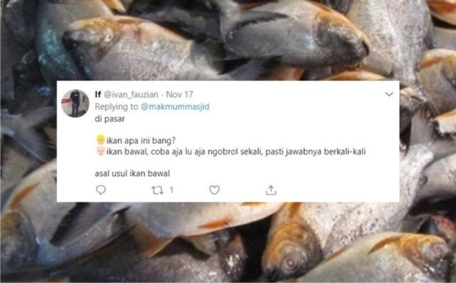 12+ Sejarah Asal Usul Nama Ikan Versi Warganet Twitter. Orang Awam mah Pasti Nggak Pernah Kepikiran!