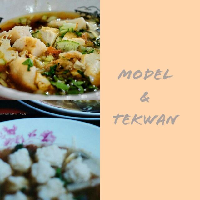 Model & Tekwan