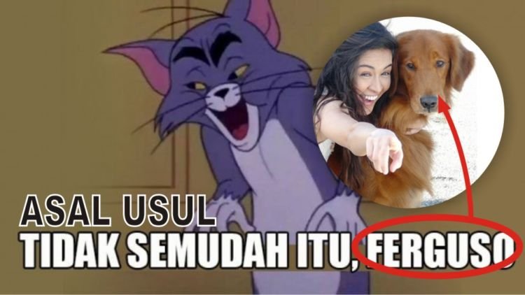 Mengulik Asal Meme ‘Tidak Semudah Itu, Ferguso’. Berawal dari Twitter, Sampai Viral di Media Sosial