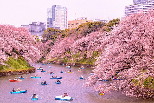 Wah, Jepang Bakal Pungut Pajak 'Sayonara Tax' Buat Turis Asing. Berlaku Mulai Januari 2019 Lho!