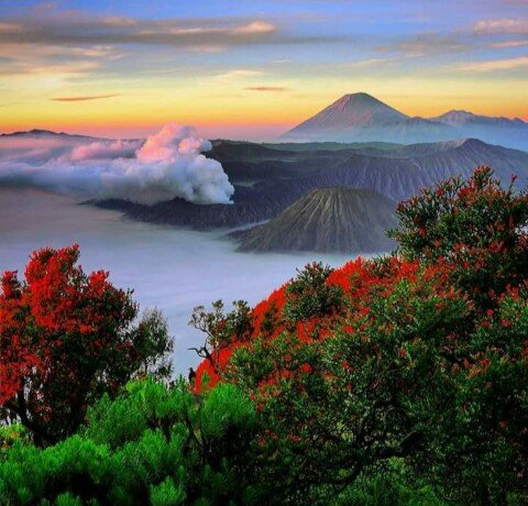 Taman Nasional Bromo Tengger Semeru Malang Jawa Timur