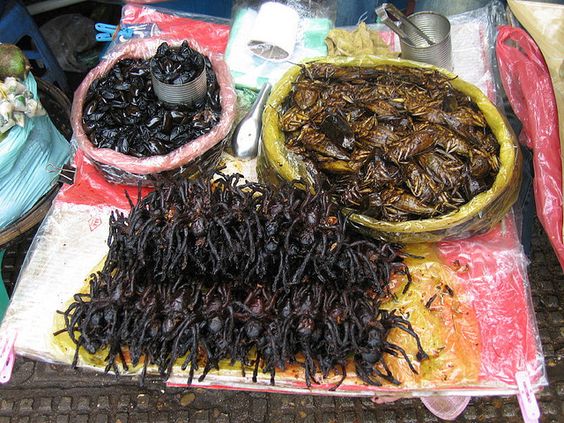 Spider Market di Kampuchea