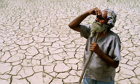 Petani India Kerap Bunuh Diri karena Terlilit Utang, Amitabh Bachchan Kucurkan Dana 8 M buat Mereka