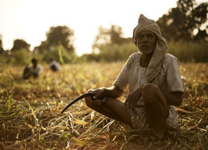 Petani India Kerap Bunuh Diri karena Terlilit Utang, Amitabh Bachchan Kucurkan Dana 8 M buat Mereka