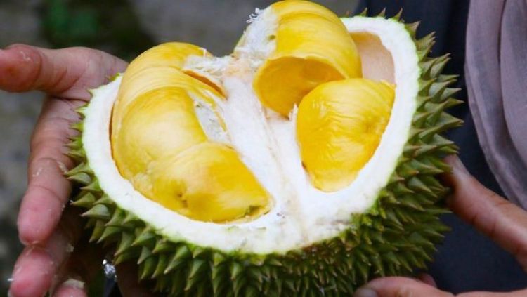 Lagi Viral Penumpang Protes Bau Durian di Sriwijaya Air. Boleh Nggak Sih Pesawat Mengangkut Durian?