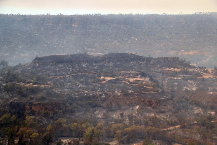 11+ Potret Mengerikan Kebakaran Hutan di California. Rumah Mewah Seleb Hollywood Banyak yang Kena!