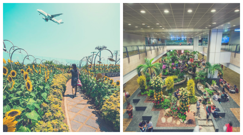 Foto-Foto Kemewahan Bandara Changi, Singapura, Ini Bakal Bikin Kamu Berdecak Kagum!