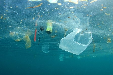 Mari Kurangi Sampah Plastik dari Sekarang, Kita Bisa Melakukannya karena Terbiasa Lho.