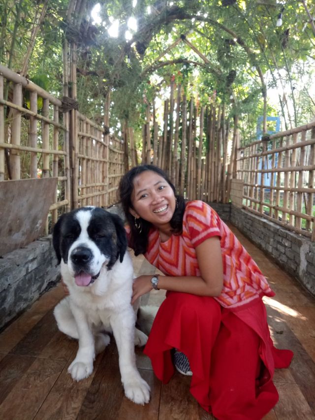 Yuk Main ke Rumah Gukguk di Lembang, Bandung. Anjing-Anjingnya Lucu dan Ramah Lho!