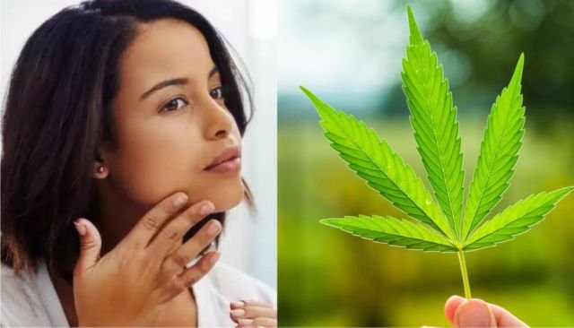 Ganja Mulai Populer Jadi Bahan Baku Kosmetik. Katanya Sih Nggak Bakal Bikin 'Fly'