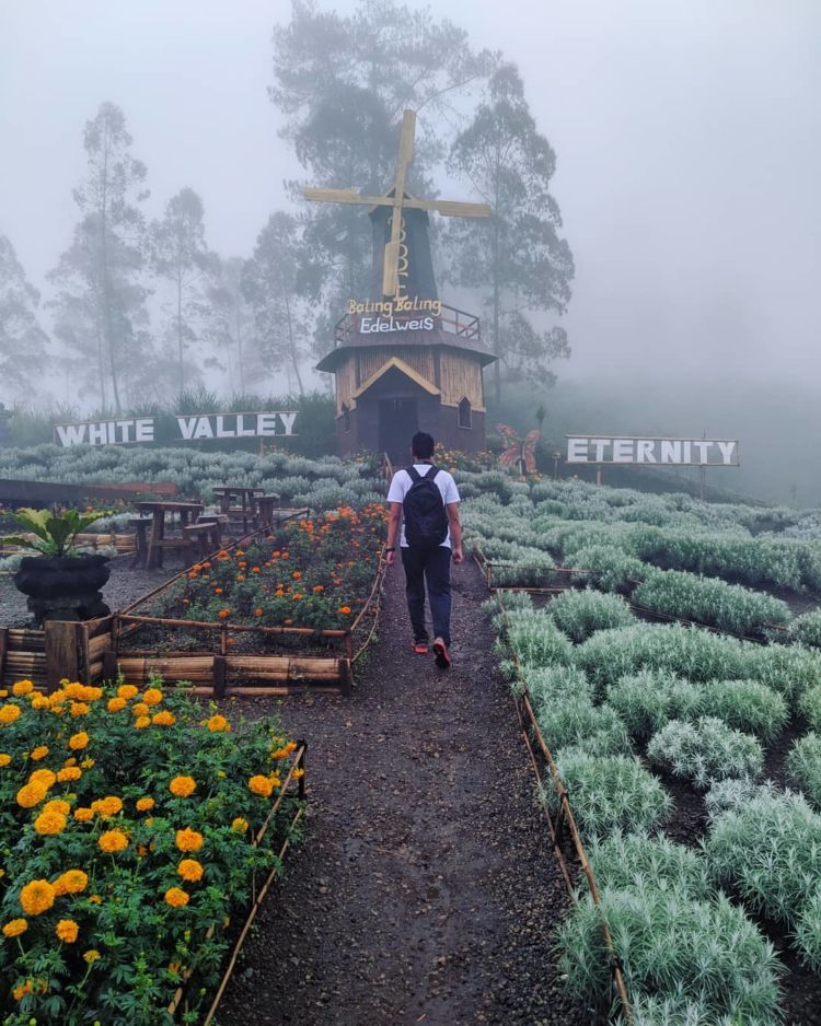 Taman Edelweiss, Destinasi Wisata Hits dan Instagramable di Bali. Cocok untuk Liburan Akhir Tahun!