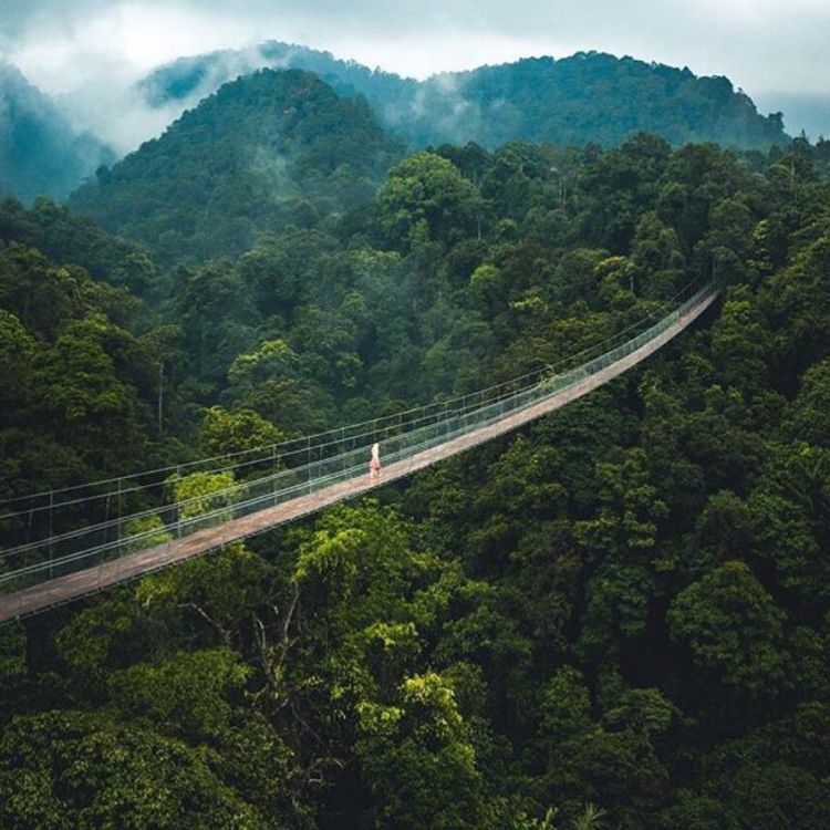 Jembatan Gantung Situ Gunung, Destinasi Instagramable di Sukabumi. Ridwan Kamil Getol Promosi!