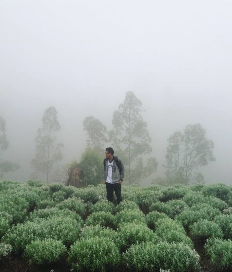 Taman Edelweiss, Destinasi Wisata Hits dan Instagramable di Bali. Cocok untuk Liburan Akhir Tahun!