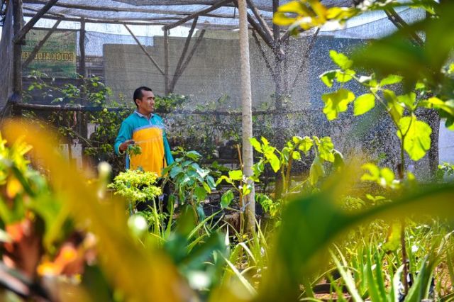 Ramah Lingkungan dan Bisa Menghasilkan, Ini 5 Potret Desa Doudo di Gresik yang Luar Biasa