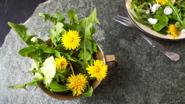 10 Objek Absurd yang Ternyata Bisa Aja Dimakan Kalau Mau. Dari Kapur, Batang Pohon, Sampai Tanah!