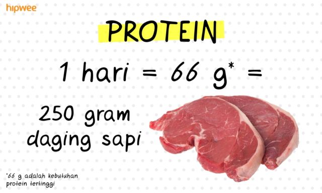 7 Kecukupan Gizi Harian yang Perlu Kamu Tahu. Nggak Boleh Kurang dan Jangan Berlebihan