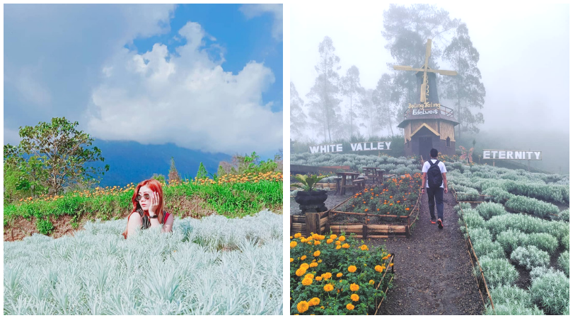 Taman Edelweiss, Destinasi Wisata Hits dan Instagramable di Bali. Cocok untuk Liburan Akhir Tahun!