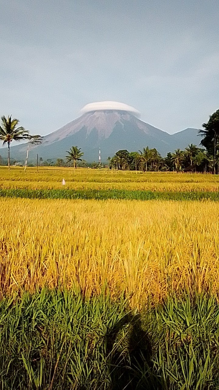 Fenomena Gunung Semeru 'Bertopi' yang Viral di Sosial Media. Pak Sutopo: Bisa Buat Foto Prewedding