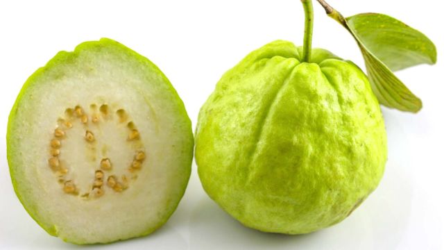 Cara Agar Jambu Biji Cepat Berbuah