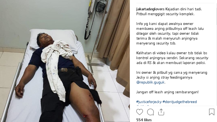 Seekor Anjing Pitbull Lukai Security di Jakarta, Lebih Awas ya untuk Para Pemilik Anjing!