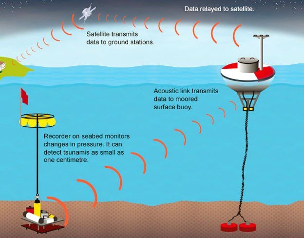 Mengenal Sistem Peringatan Dini Tsunami di Indonesia Bekerja, Mulai Dari Buoy, Sampai Tide Gauge