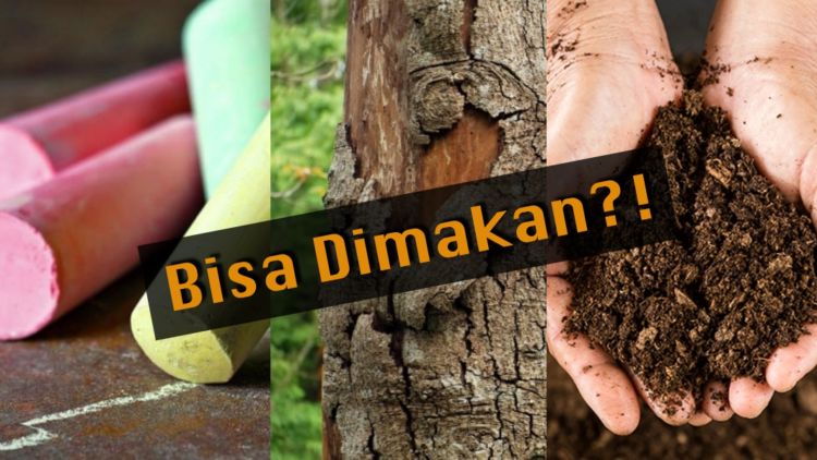 10 Objek Absurd yang Ternyata Bisa Aja Dimakan Kalau Mau. Dari Kapur, Batang Pohon, Sampai Tanah!