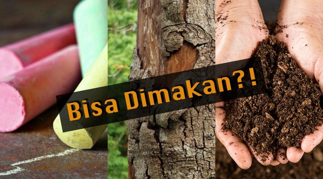 10 Objek Absurd yang Ternyata Bisa Aja Dimakan Kalau Mau. Dari Kapur, Batang Pohon, Sampai Tanah!