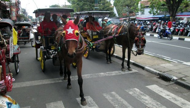 Kuda Andong di Malioboro Tumbang, Katanya Gara-gara Diklakson Waktu Macet. Kasihan Banget Kudanya!