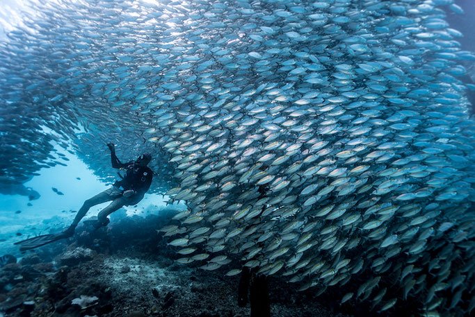 7 Destinasi Wisata Pantai di Indonesia yang Cocok Untuk Syuting Film Aquaman. Pesonanya Nggak Kalah!