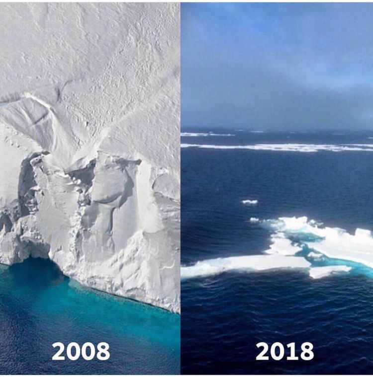 10+ Unggahan #10YearChallenge yang Seharusnya Jadi Perhatian Kita Bersama. Bikin Miris & Prihatin