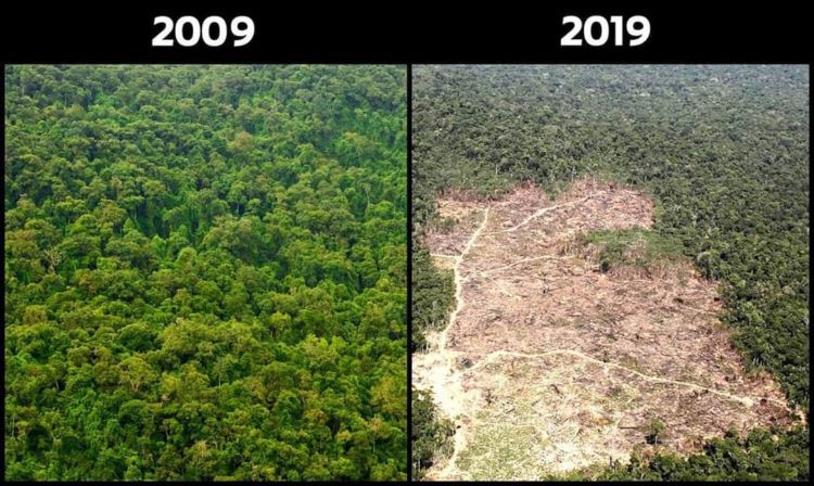 10+ Unggahan #10YearChallenge yang Seharusnya Jadi Perhatian Kita Bersama. Bikin Miris & Prihatin