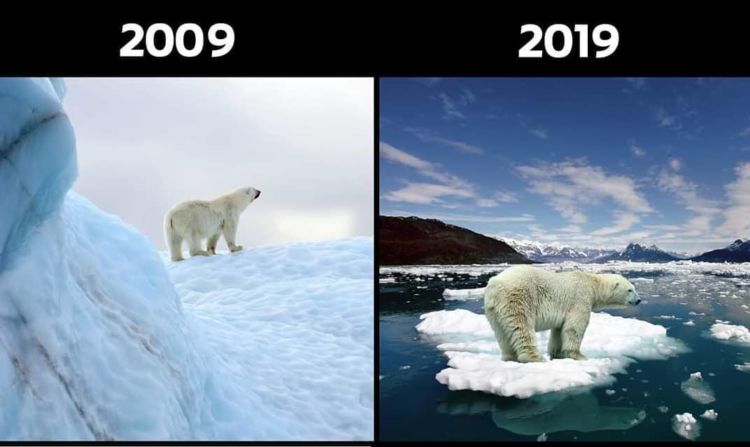 10+ Unggahan #10YearChallenge yang Seharusnya Jadi Perhatian Kita Bersama. Bikin Miris & Prihatin