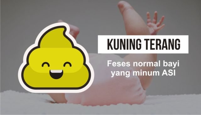 Pintar Mengenal 7 Warna Feses Bayi, Jadi Penanda Kondisi Kesehatan Sang Buah Hati