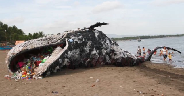 Hewan Makin Sering Tertipu Anggap Plastik Itu Makanan. Kalau Tahu Alasannya, Kamu Akan Miris Sendiri