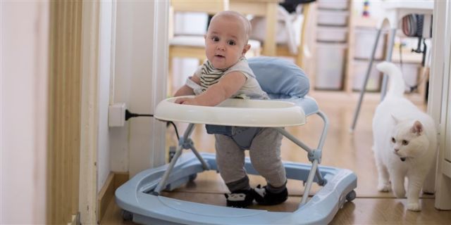 Beginilah Cara Menggunakan Baby Walker yang Benar. Umumnya Cidera Karena Salah Penggunaan, Bukan Alatnya