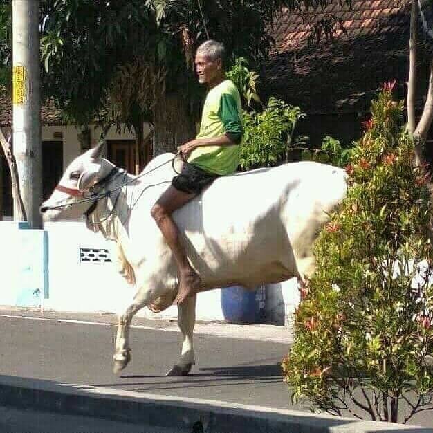 15 Potret Bapak-bapak Lawak yang Bikin Ngakakmu Awet Kayak Mendung Sore ini. Kacau, Kocak Banget!