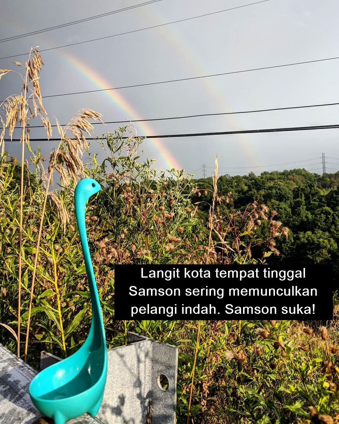 Sekelumit Kisah dari Sebuah Sendok Sup yang Kini Jadi Selebgram. Udah Nerima Endorsement Belum, Ya?