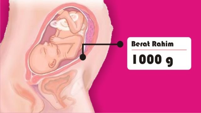 8 Asal Muasal Penambahan Berat Badan Ibu Hamil. Penasaran kan Kenapa Bisa Naik Belasan Kilo?