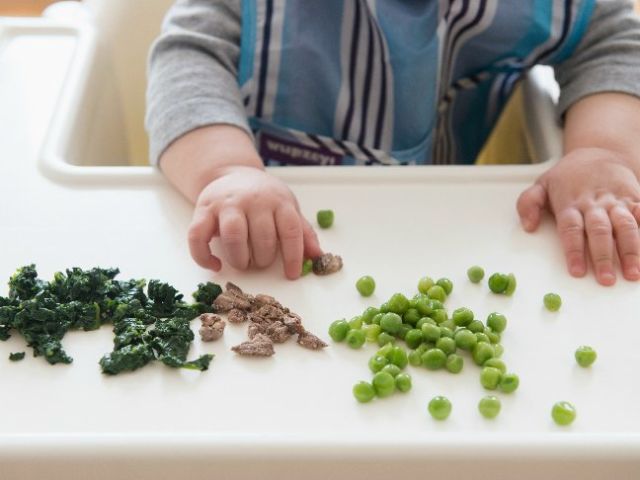 Rahasia Membiasakan Anak Makan dengan Baik. Nggak Ada Lagi Drama Menyuapi Anak Sambil Keliling Kampung