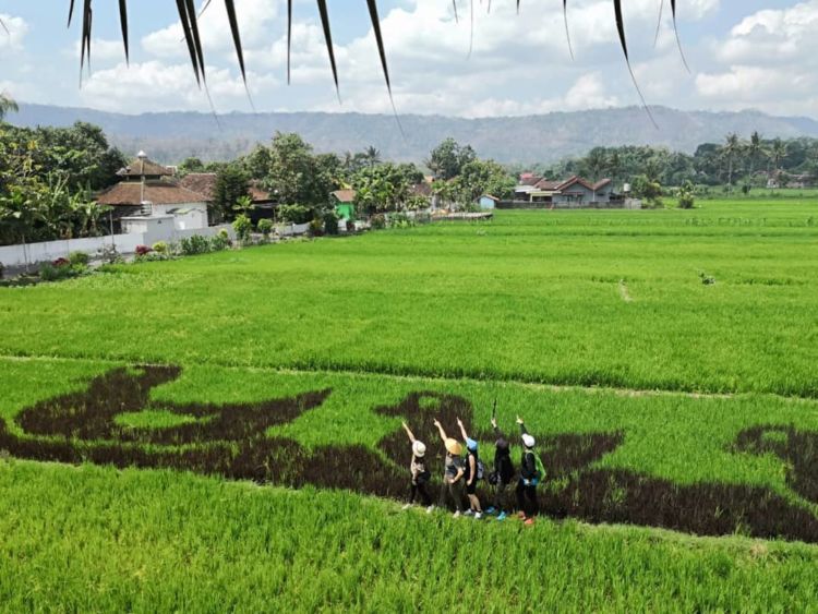 Sawah Kreasi Jogja, Destinasi Instagramable dengan Aneka Gambar Lucu di Sawah. Unyu Banget Sih!