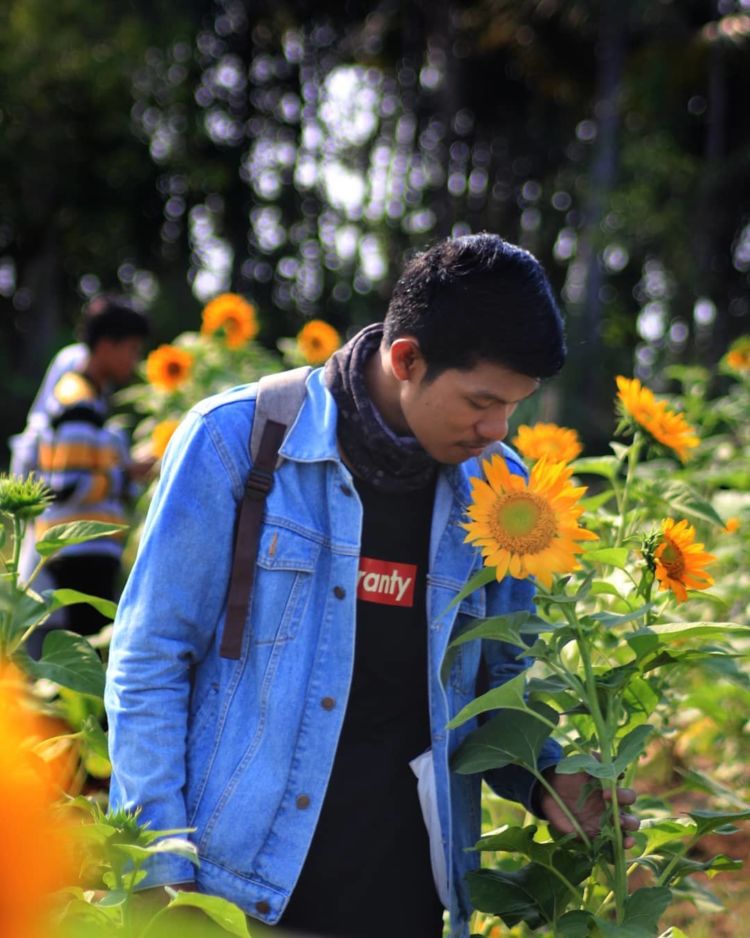 Kebun Bunga Matahari di Tangerang Viral di Media Sosial. Sudahkah Kamu Berkunjung ke Sana?