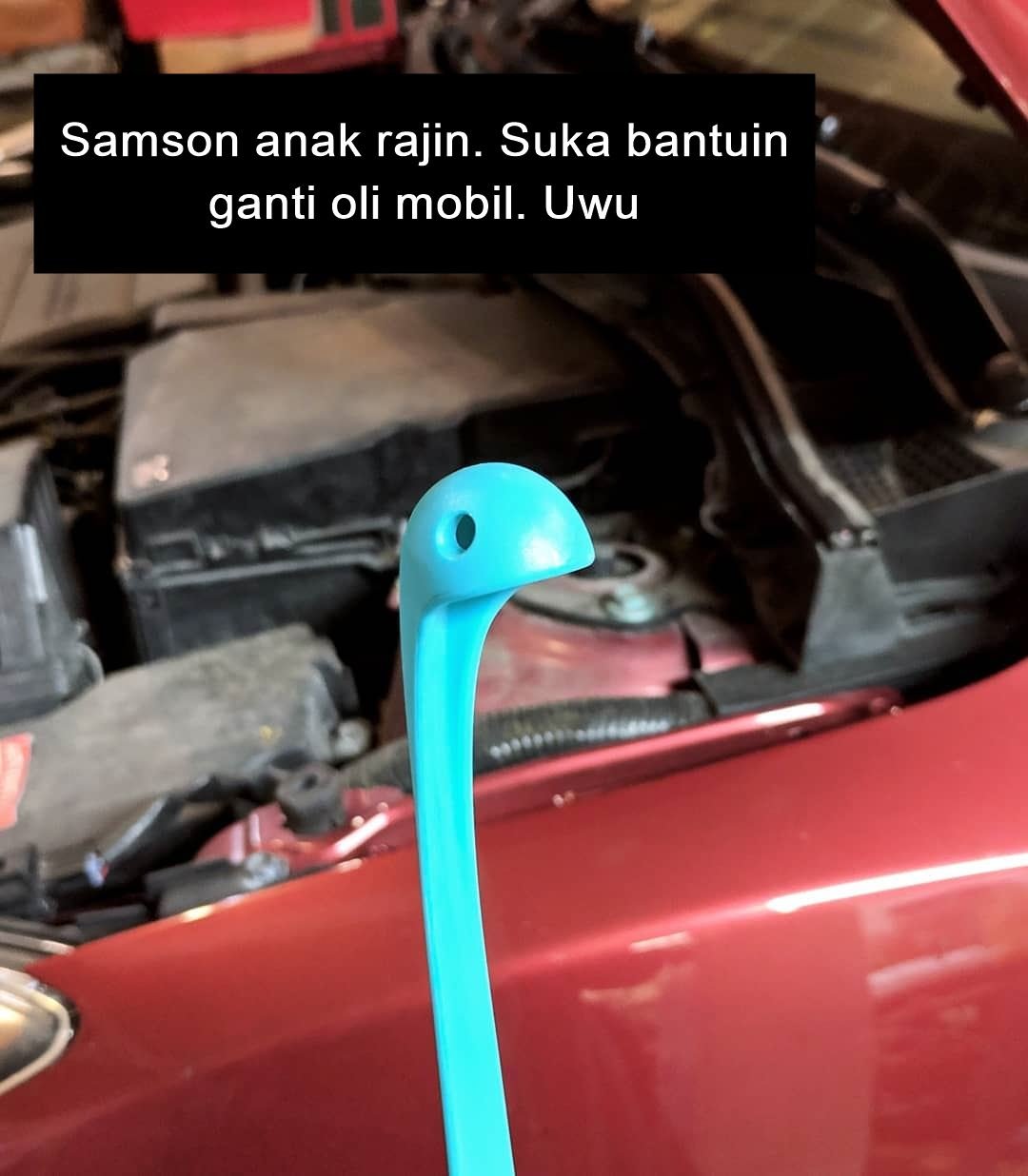 Sekelumit Kisah dari Sebuah Sendok Sup yang Kini Jadi Selebgram. Udah Nerima Endorsement Belum, Ya?