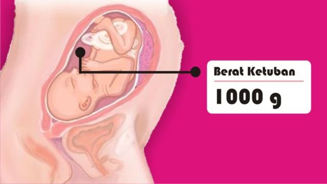 8 Asal Muasal Penambahan Berat Badan Ibu Hamil. Penasaran kan Kenapa Bisa Naik Belasan Kilo?