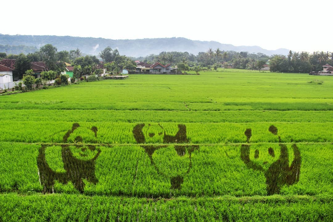 Sawah Kreasi Jogja, Destinasi Instagramable dengan Aneka Gambar Lucu di Sawah. Unyu Banget Sih!