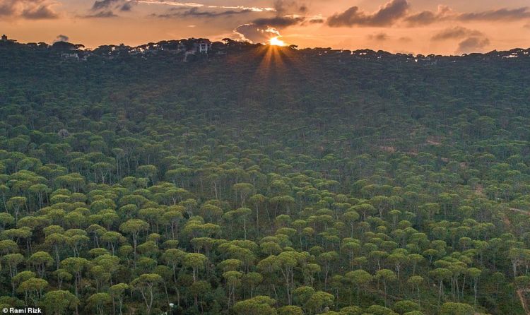 13 Foto Keindahan Negara Lebanon yang Mengagumkan. Nggak Nyangka Timur Tengah Sehijau Ini!