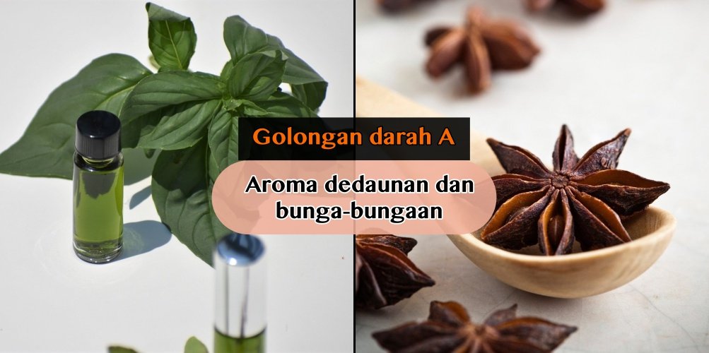 Jenis Parfum yang Aromanya Cocok dengan Golongan Darah. Asli, Lebih Terpancar Wanginya