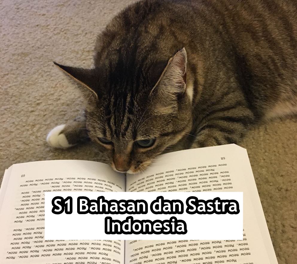 Andai Kucing Bisa Mengenyam Pendidikan, Mungkin ini 15 Jurusan yang Mereka Geluti. Gemes Liatnya!