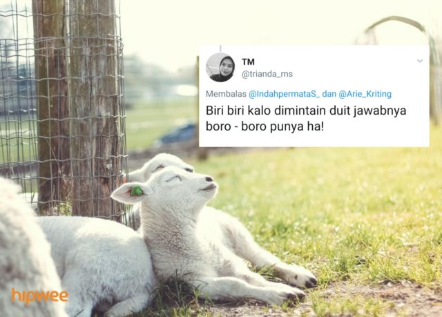 Begini Jadinya Kalau para Binatang ini Dinamai Sesuai dengan Keadaan dan Situasi. Malah Kocak sih!